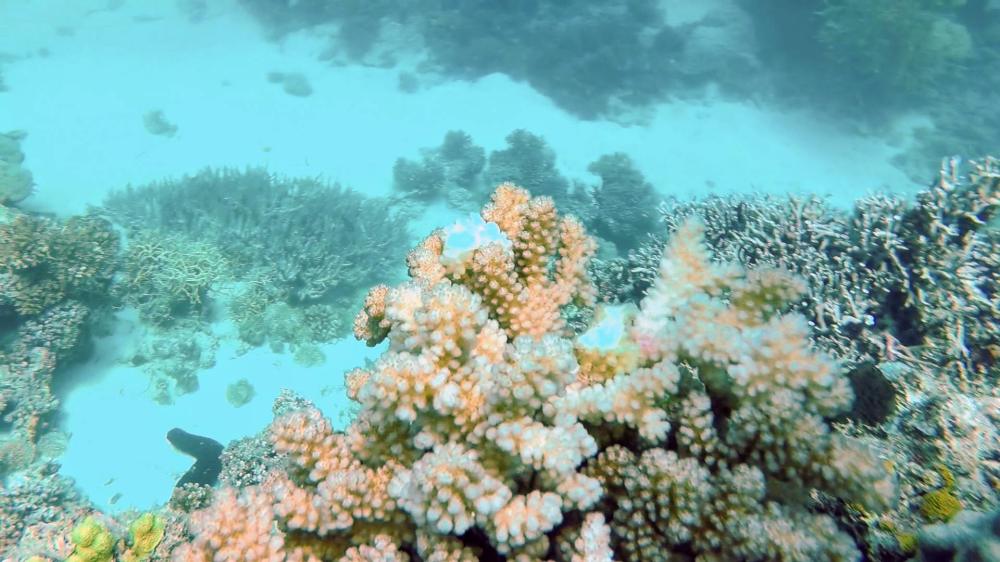 b8d649ca89ce2569c881afd44d33d5fc